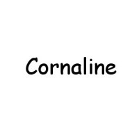 Perles Cornaline - Achat de Perle Cornaline Fantaisie