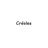 Boucle d'Oreille Créole : Créoles en Argent, Plaqué Or pas cher